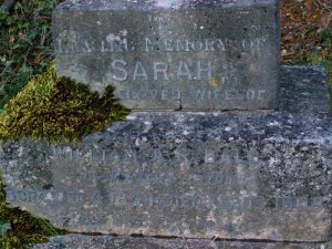 Waters Upton MIs - Ball, Sarah