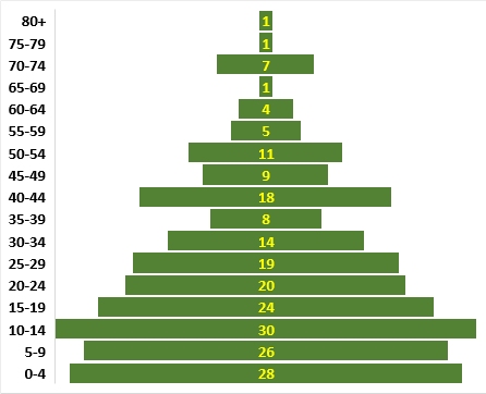 1841 census - population pyramid 2