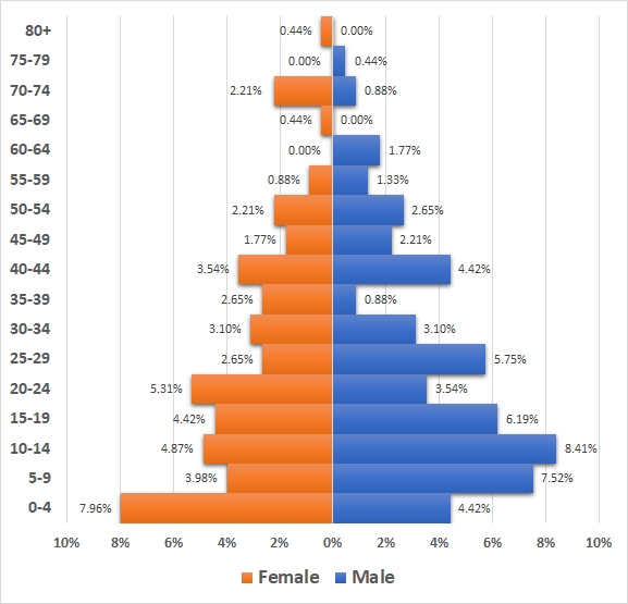 1841 census - population pyramid